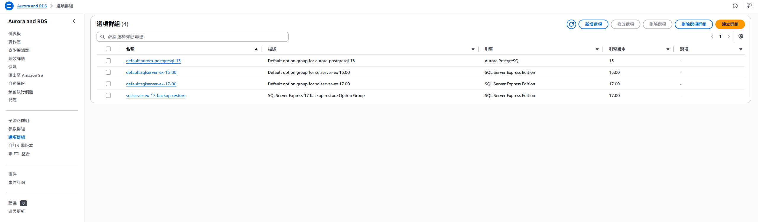 RDS audit option group