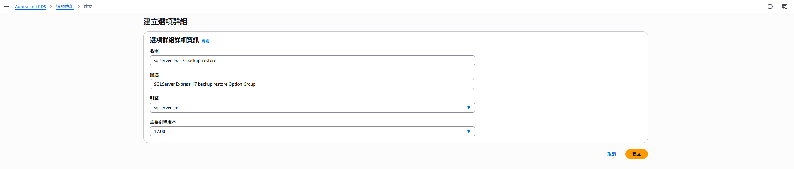 RDS Option Group create sample